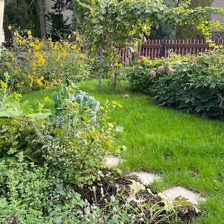 Apartment Am Hohenrand Dresden Leubnitz Экстерьер фото